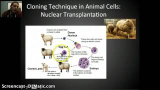 IB Genetic Engineering & Biotechnology Part 2