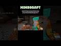 Minecraft: Philanthropic Panda