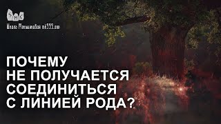 Почему не получается соединиться с линией рода?