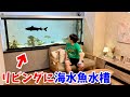 生き物好きの理想の暮らしができる展示が凄すぎる