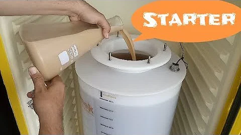 Como fazer um starter caseiro?