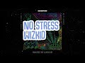 Wizkid - No stress lyrics video