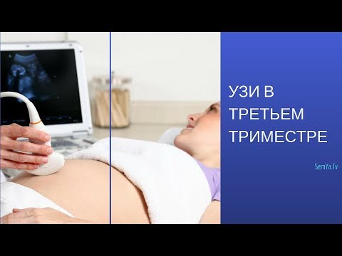 Третий Триместр УЗИ. Третий Скрининг. Узи Беременность