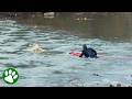 New Yorker In Suit Plunges Into Pond To Rescue Dog