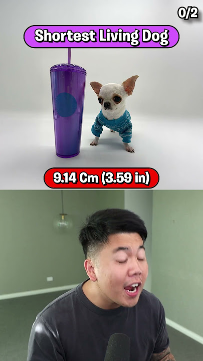 Can You Guess These World Records?