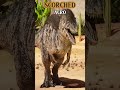 ARK ASCENDED SCORCHED FORMS PART 2 #shorts #ark #sigma