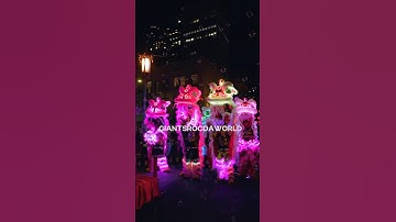 Year in Review 2023 Lion Dance
