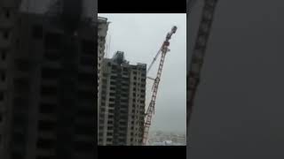 Crane Collapse Fails