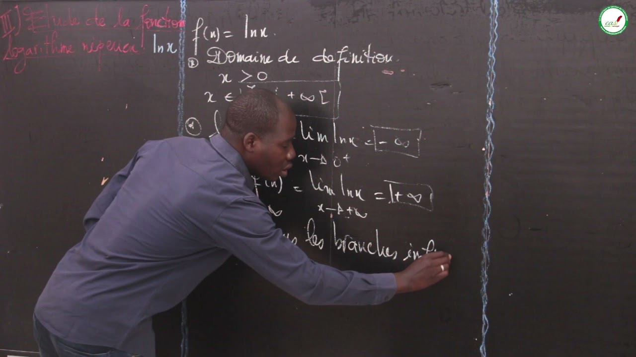 Cours - Terminale L - Mathématiques : Fonctions logarithme népérien / Suite 4 / M.Mbow