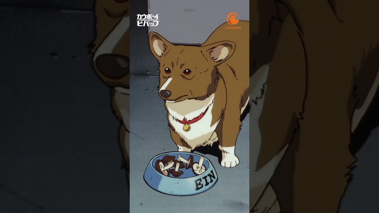 Watch Dog Days - Crunchyroll