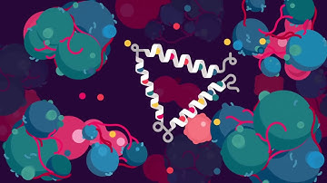 Quantum Computers Explained – Limits of Human Technology