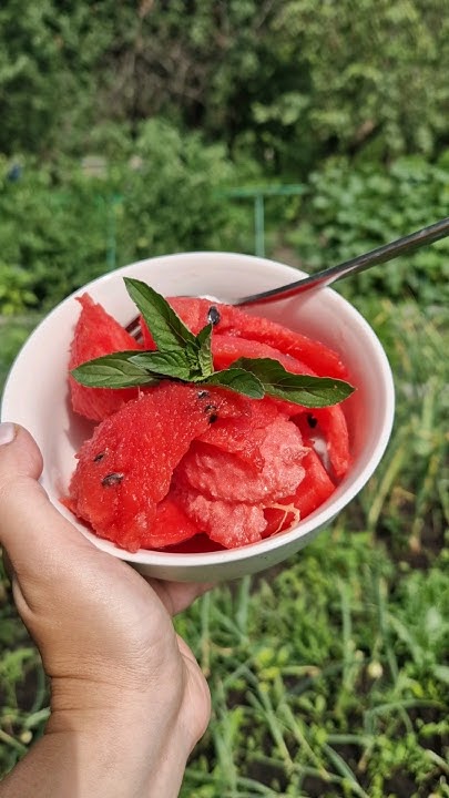 Самое вкусное 🍉🌱 - YouTube