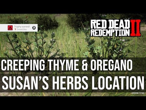 where to buy herbs rdr2