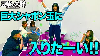 【豆柴の大群】巨大シャボン玉に入りたーい!!
