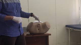 Skills - Digital Rectal Examination
