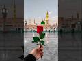 Naam Sun Kar Jhuka Lo Sar — Syeda Zahra ﷺ Ki Haya Ka Paigham | Heart Touching Naat Short #shorts