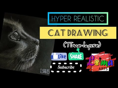 MY FIRST HYPER REALISTIC CAT DRAWING TIME-LAPSE - YouTube