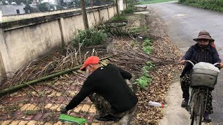 Surprised I volunteer clean up the walkway Using simple tools cut grass transformed