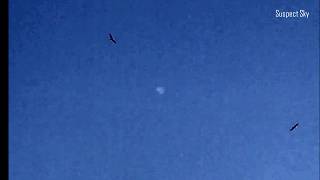 Another Fast Mover Detected in Canada [SIGHTING]