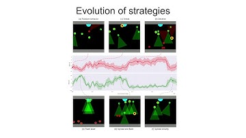 Multi-Agent Competitive Reinforcement Learning