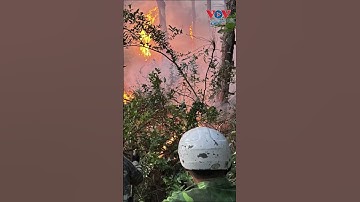 Nghệ An: Hơn 400 người trắng đêm chữa cháy rừng tại xã Tân Châu #vovgiaothong #fm91