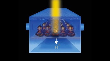 Nanodiscs and beyond