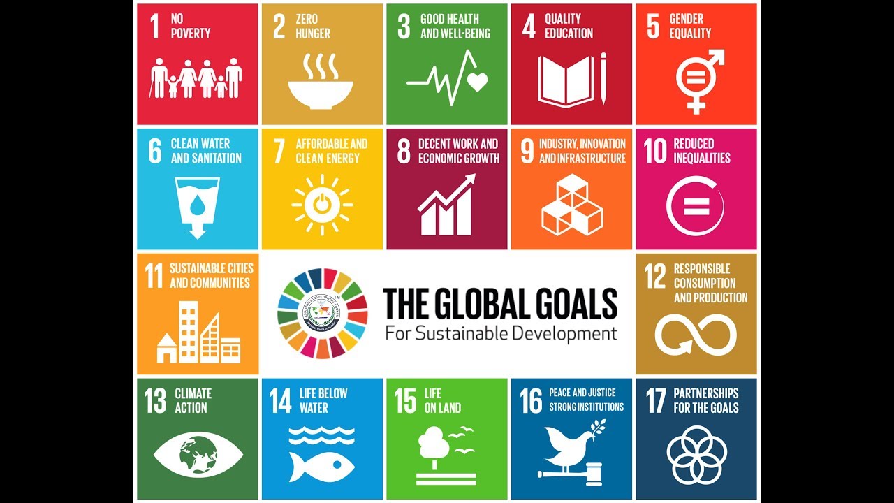 UNSDG GOAL 3 HEALTH AND WELL BEING - YouTube