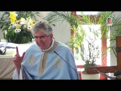 Video: De ce au episcopii un toiag?