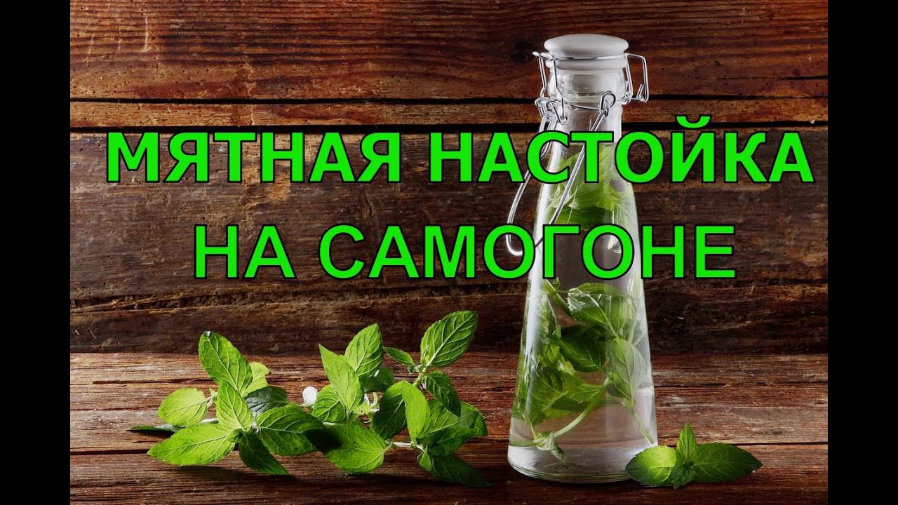 Тархуновый ликер. Ментоловая настойка. Самогон на мяте. Настойка самогона на мяте рецепт. Мятная настойка на самогоне.
