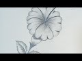 How to draw Hibiscus flower in pencil shed 🌺Natural Work