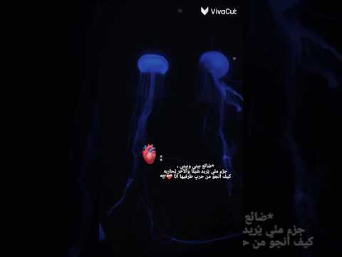 ضائع بيني وبيني