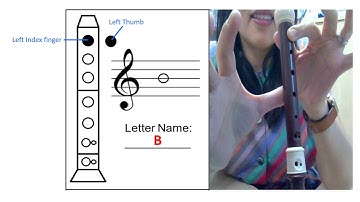 Recorder Fingering Demonstration of Notes (High D to Middle C with B flat)