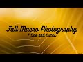 7 tips and tricks for Fall Macro Photography