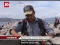 Bandırma'da, Limana Gelen Palamut Sürüsü ,Balıkçıların Sahile Akın Etmesine Sebep Oldu