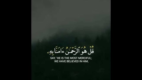 سورة الملك الآية (29)