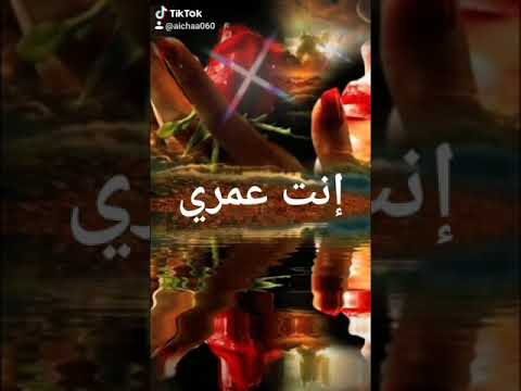 أحبك يا أغلى ما عندي في هاد الدنيا