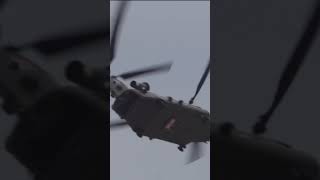 The Chinook Never Looks Graceful Until It Moves
