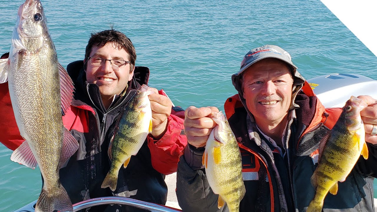 Fishing for Perch with Live Minnows YouTube