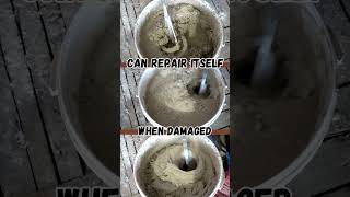 The top three strangest things Structural Engineers have ever witnessed