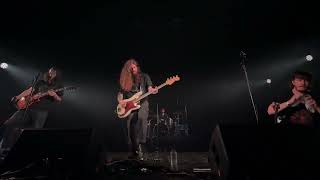 Treebeard Live at Dunk!Festival 2025 (Full Show)