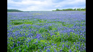 Muleshoe Bend Recreation Area