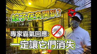 蚊子在旁開趴好困擾? 員工控捕蚊燈效果不佳「蚊子殺不完」/ 防蚊專家告訴你 : 這樣做才對 !