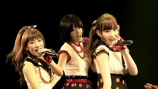 AKB48 くまのぬいぐるみ Kuma No Nuigurumi 「見逃した君たちへ」チームA 4th Stage「ただいま恋愛中」公演