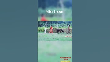 #Difference between during B.com and After B.com#,#kannada comedy videos#,#Kannada facts trend#.