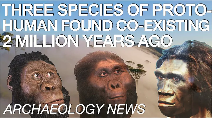 BREAKING NEWS - Three Ancient Hominid Species Discovered from Same Time Period in African Cave - DayDayNews