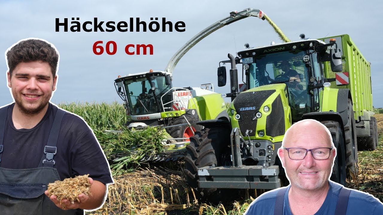 Maisernte bei Funke in Esterwegen (Emsland) 2024