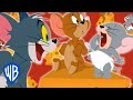 Tom y Jerry en Español | Es delicioso! | WB Kids