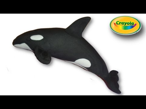 Crayola Orca Whale - YouTube