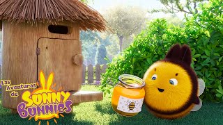 Las Aventuras de Sunny Bunnies | Gran 'Abeja' Boo | Serie 4 | Dibujos para niños