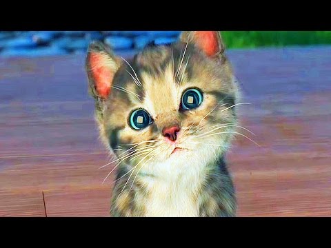 little-kitten-my-favorite-cat-compilation-/-cartoon-games-kids-tv